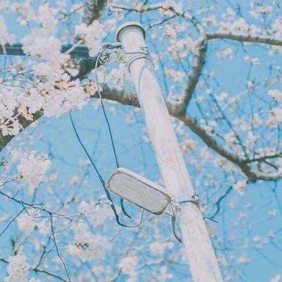 封天妖神官方版下载